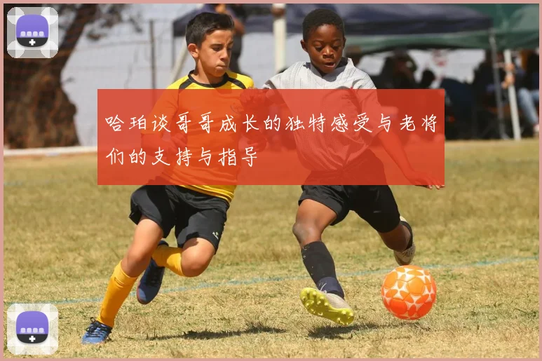 哈珀谈哥哥成长的独特感受与老将们的支持与指导